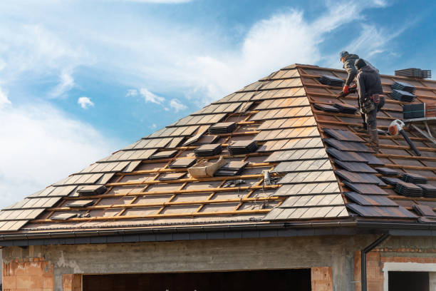 Best Roof Ventilation Installation  in Greene, IA